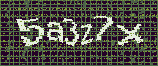 CAPTCHA_picture